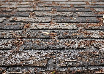 King Roofing Images
