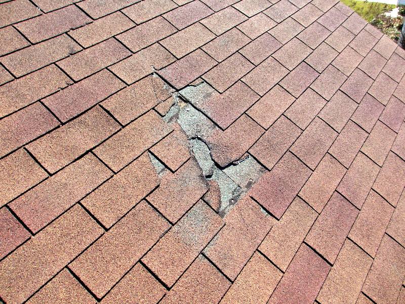 Damaged roofing shingles in Kaufman, TX.