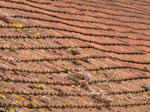 Roof sag need quick care! A local Athens roofing contractor explores the problems and remedies.