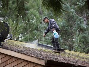Homeowner maintaining a clean roof to prevent mold and algae growth. Contact King Roofing for quality services in Mabank, Texas.