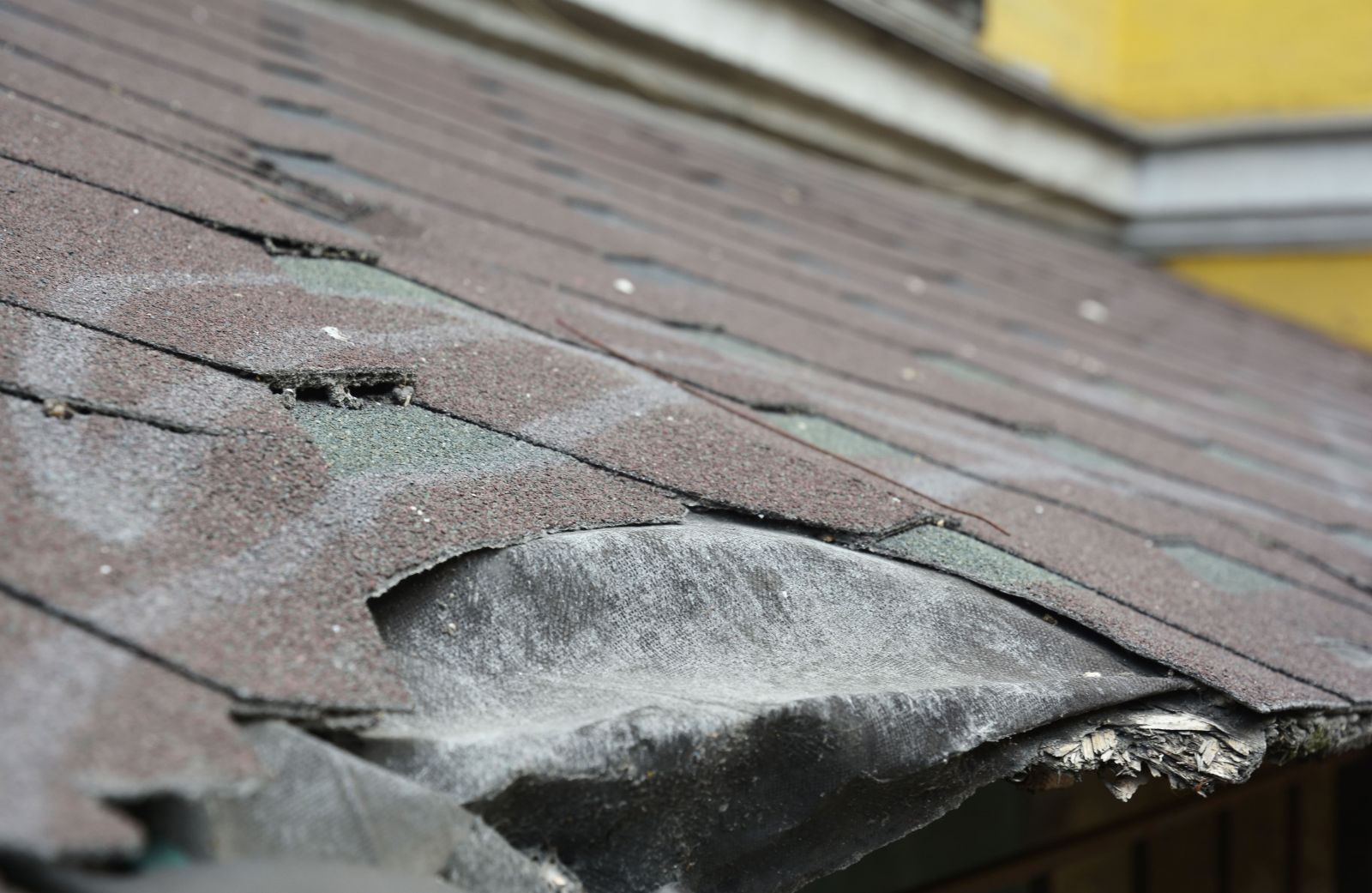 King Roofing & Solar Images