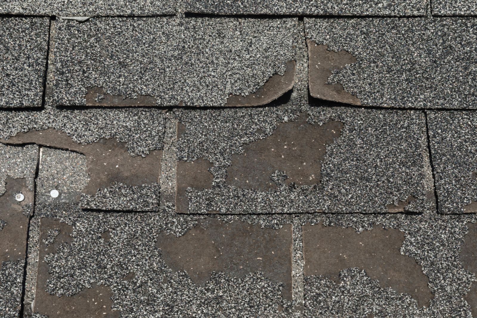 King Roofing & Solar Images